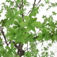 thumbnail image 4 of GDF Studio Monadnock Artificial Enkianthus Tree, 10' x 6.5', 4 of 11