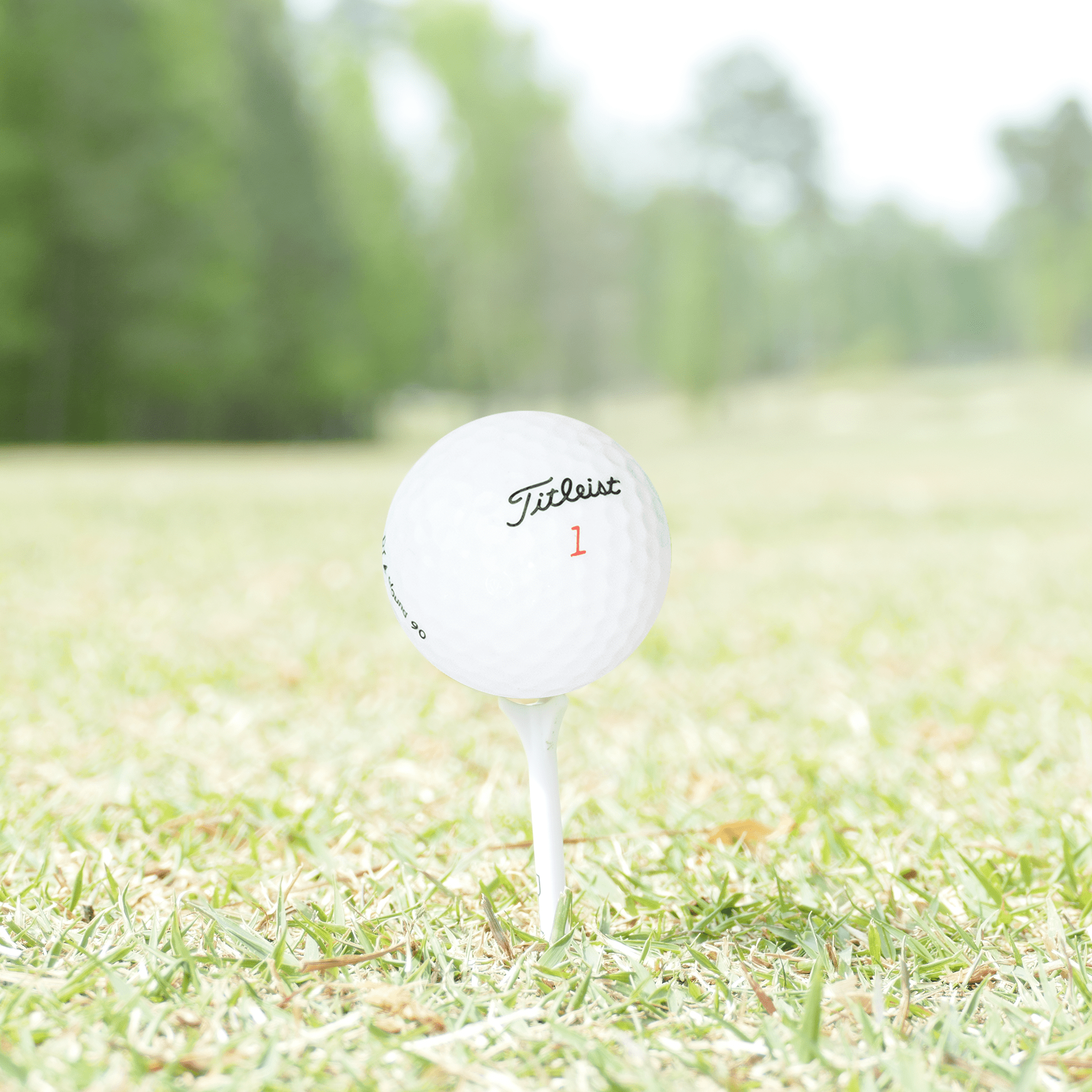 Golf Ball Nut – Recycled Golf Balls for Titleist Mix – 3A Good Quality – 48-Pack, White