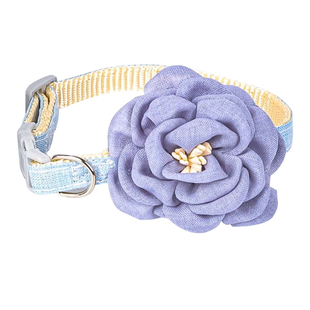 1. Cantidad y variedad suficientes de colores: el paquete contiene un collar para mascotas de rosa inmortal, 4 colores brillantes, muchos colores se pueden combinar fácilmente con varias prendas para