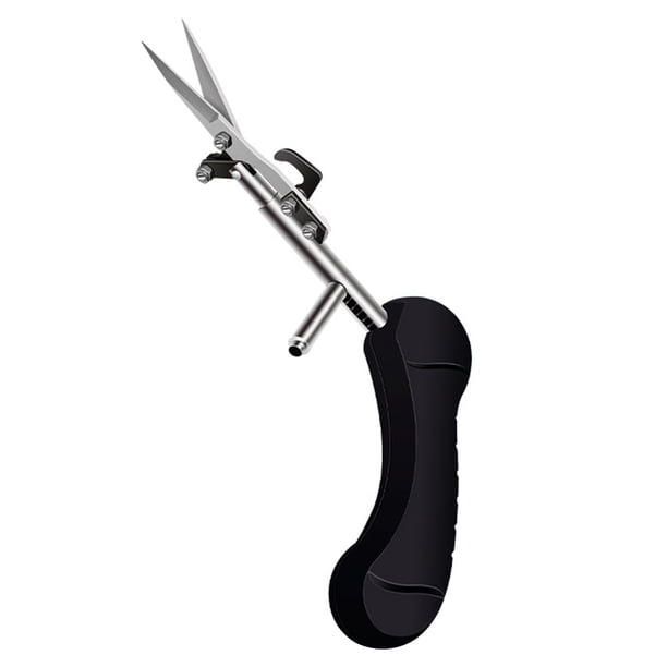 Worallymy - Podadora de mano para plantas, rama de jardinería, tijeras de podar para flores, herramienta de tijera para recoger frutas, color negro Worallymy JD735802059