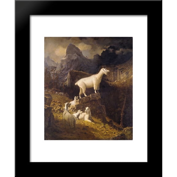 Rocky Mountain Goats 20x24 Framed Art Print by Bierstadt, Albert