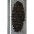 thumbnail image 1 of Canbeauty Queue de Cheval PT-008, 1 of 10