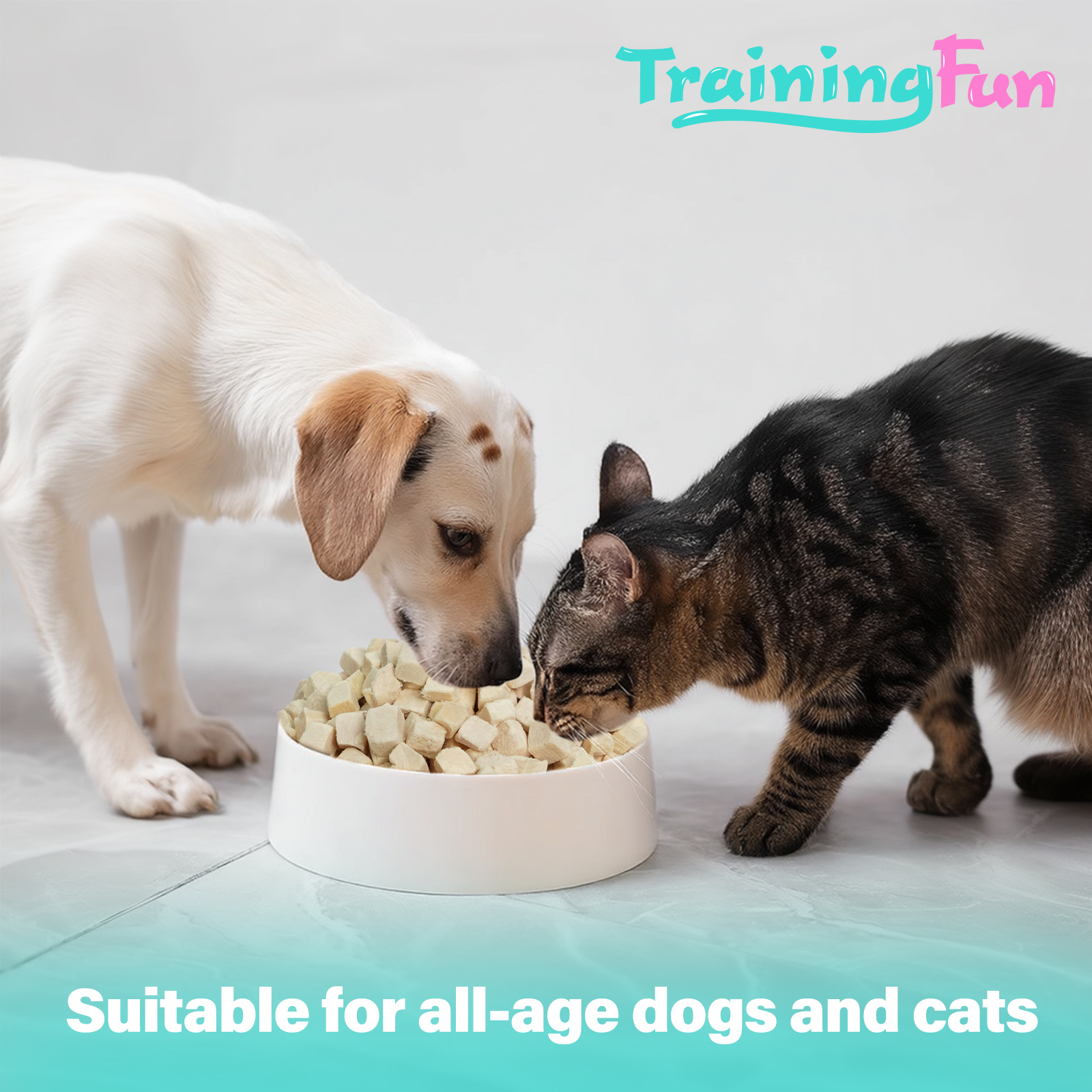 Trainingfun Edilbe Freeze Dried Chicken Cubes