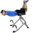 Teeter Dex II Inversion System