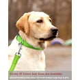 thumbnail image 7 of Minzimin 1Pcs Reflective Dog Collar with Buckle Adjustable Safety Nylon Collars for Small Medium Large Dogs, 7 of 7