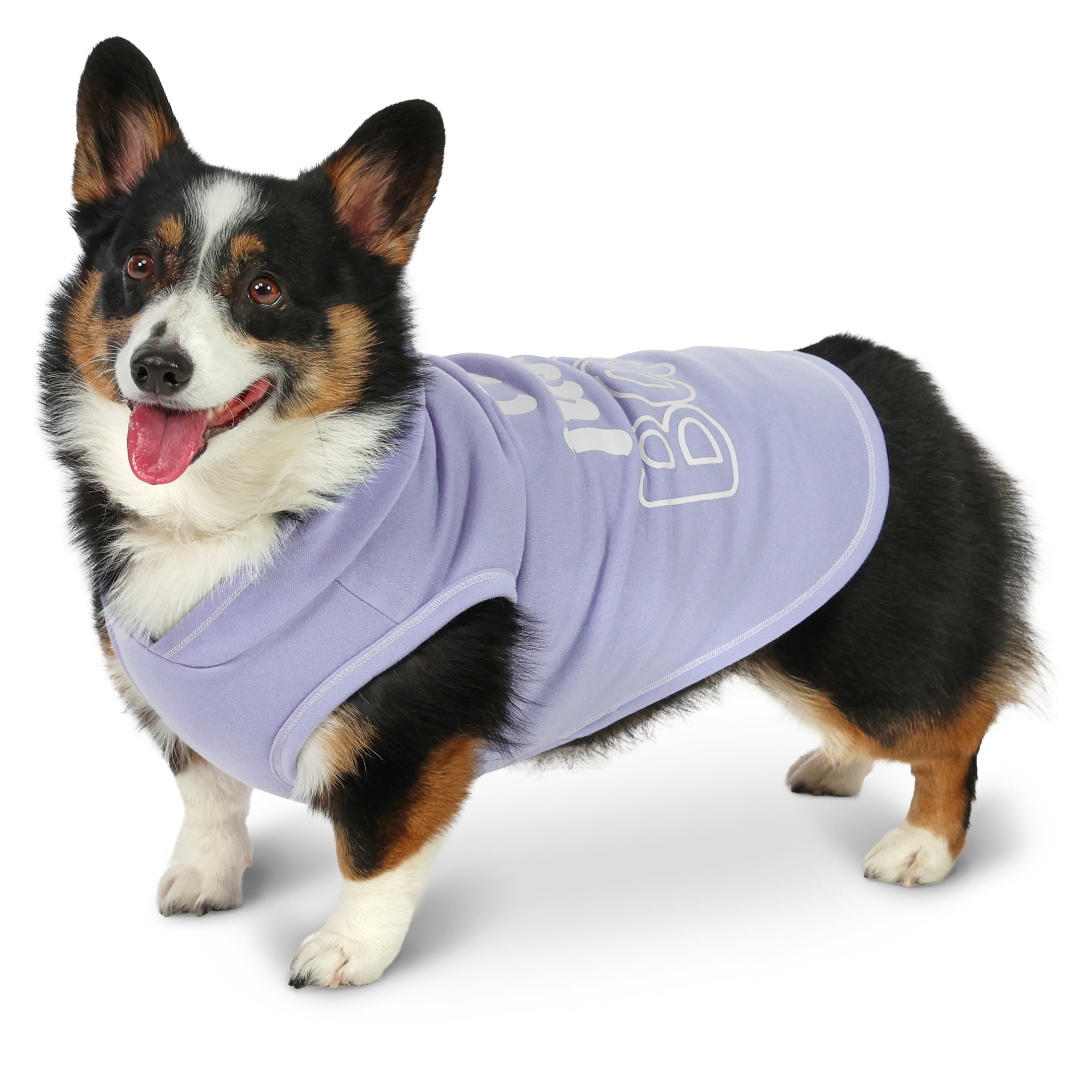 Vibrant Life Easter I'm Just a Baby Hoodie for Dogs, Blue, M