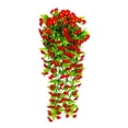 thumbnail image 1 of Bgsha Stunning Faux Daisy Wall Decor: Versatile, UV-Protected & Easy-Care!, 1 of 10