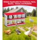 thumbnail image 4 of QinaQin Caja nido para gallinas de 6, 8 o 10 huecos, fabricada en acero galvanizado resistente al óxido, fácil recolección de huevos y limpieza, 4 of 7