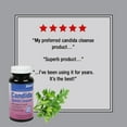 thumbnail image 5 of Zand Candida QuickCleanse | Full Potency Formula for Detoxification, Healthy Flora and Digestion Support | Natural Herbal Blends | 60 Vegetarian Caps, 5 of 6