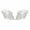 Clear, variant on QIAOIDEA Clear Glass Conch Candle Holders, Set of 2