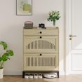 thumbnail image 1 of Armoire à Chaussures Mince de 9,4 Po avec Tiroirs Basculants, Tablettes Ajustables, Tiroir de Rangement Supérieur et Crochets Latéraux pour l'Entrée, 1 of 6