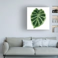 thumbnail image 3 of Grace Popp 'Rainforest Jewel III' Canvas Art, 3 of 4
