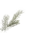 thumbnail image 4 of Vickerman 48" Flocked Kiana Artificial Christmas Wreath, Warm White Dura-Lit® LED Mini Lights, 4 of 7