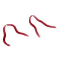 thumbnail image 4 of Señuelo De De Lombriz De 150 Piezas, Cebo De Rojo De Olor, Señuelos De Pesca De Plástico Blando Baoblaze Smell Red Worm señuelo de pesca, 4 of 8