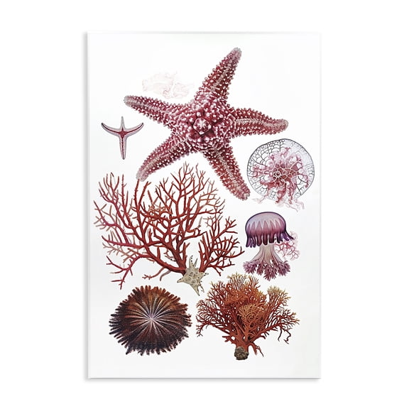 Stupell Industries Rosy Undersea Creatures Animals Painting Unframed Art Print Wall Art, 10 x 15
