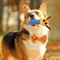 thumbnail image 2 of CSChome Dog Plush Toys Interactive Dog Plush Toy - Rope Knot Cleaning Dragonfly Design Bite-Resistant Toy, 2 of 7