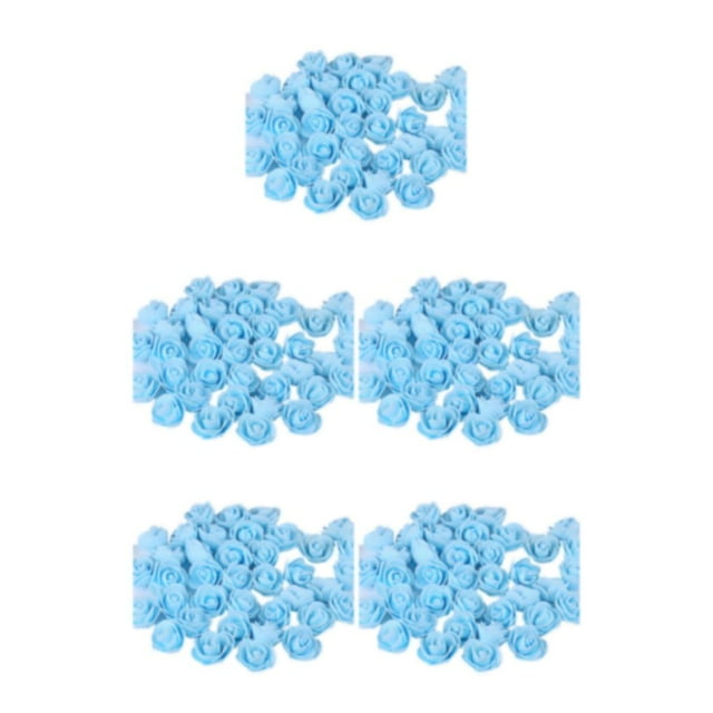 Wweixi 500piece DIY Bag Organize And Store Crafting Supplies With Convenient sky blue 5Set
