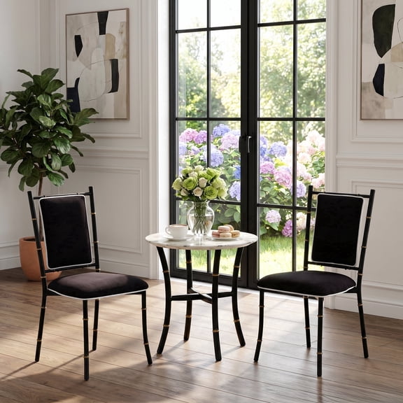 BIANCHINI Mid-Century Modern Accent Dining Chairs Set of 2, Black Metal with Gold Accents for Kitchen and Dining Room