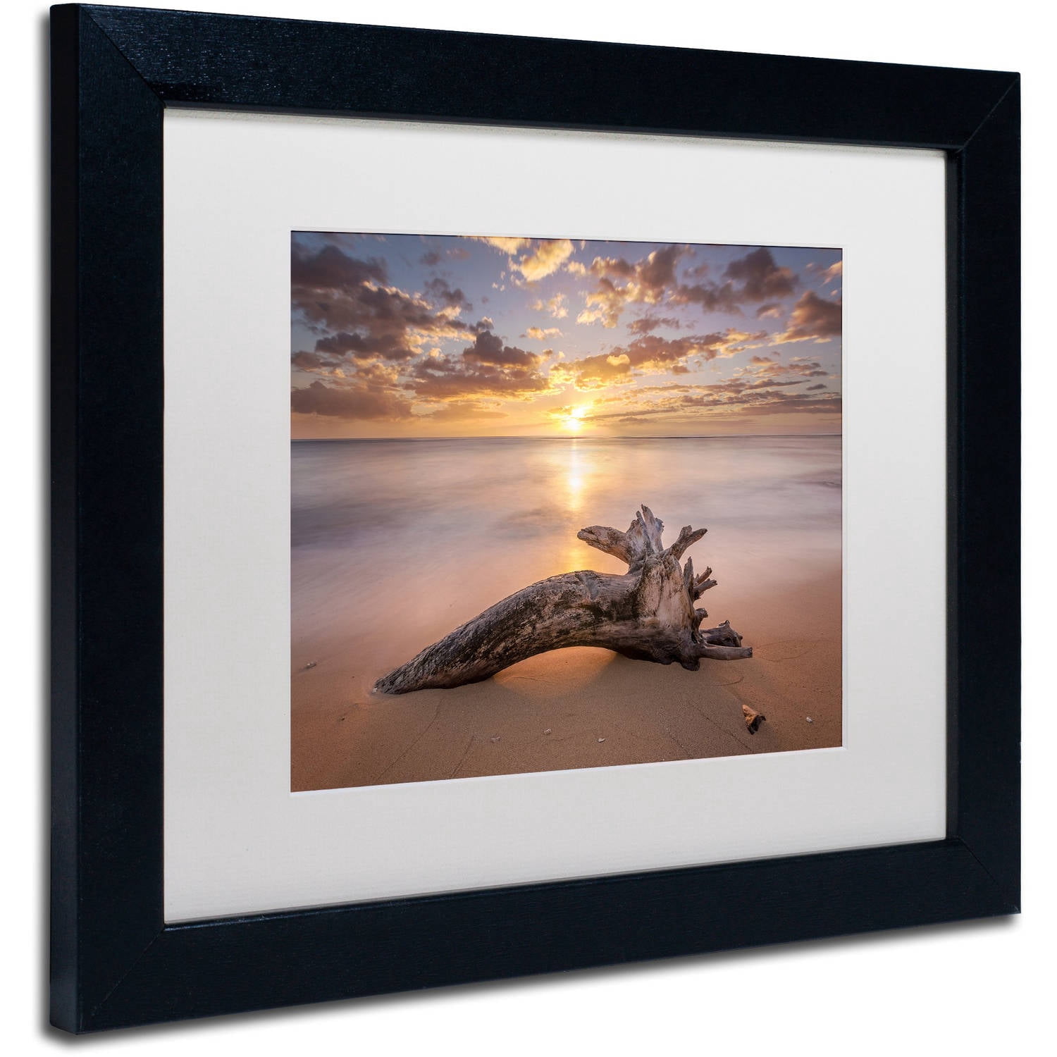 Trademark Fine Art Landscapes Matted Framed Art ' Beach Tree Sunrise ' by Pierre Leclerc