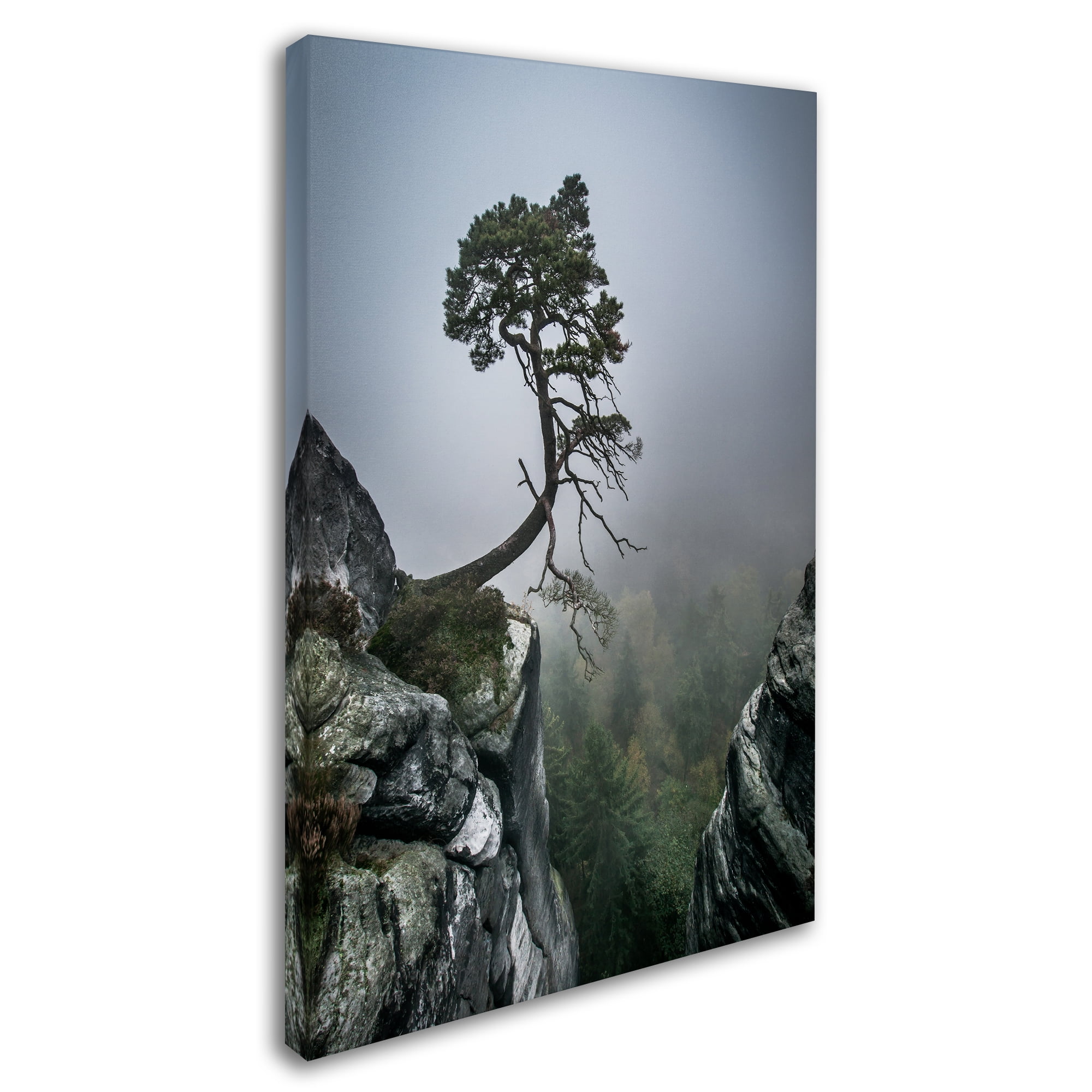Trademark Fine Art 'Against The Odds' Canvas Art by Andreas Wonisch