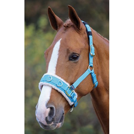 Cavesson Bridle - Fleece Lined Lunge Cavesson, Full Size - Blue