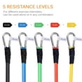 thumbnail image 3 of 5-Level Resistance Bands Set - for Leg & Glute Workouts, Strength Training, Physical Therapy & Stretching, Set of 5 Latex Loop Bands, 3 of 12