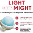 thumbnail image 3 of Lot de 4 - Tidy Cats Litière Légère 24/7 Performance Multi-Chat, Pichet de 2,72 kg, 3 of 5