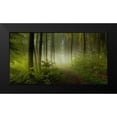 thumbnail image 2 of Maier, Norbert 24x14 Black Modern Framed Museum Art Print Titled - Early Fall, 2 of 5