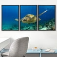 thumbnail image 2 of wall26 Framed Canvas Print Wall Art Set Turtle Glides Through The Blue Sea Animals Ocean Photography Realism Nautical Scenic Colorful Multicolor for Living Room, Bedroom, Office - 24"x36"x3, 2 of 5