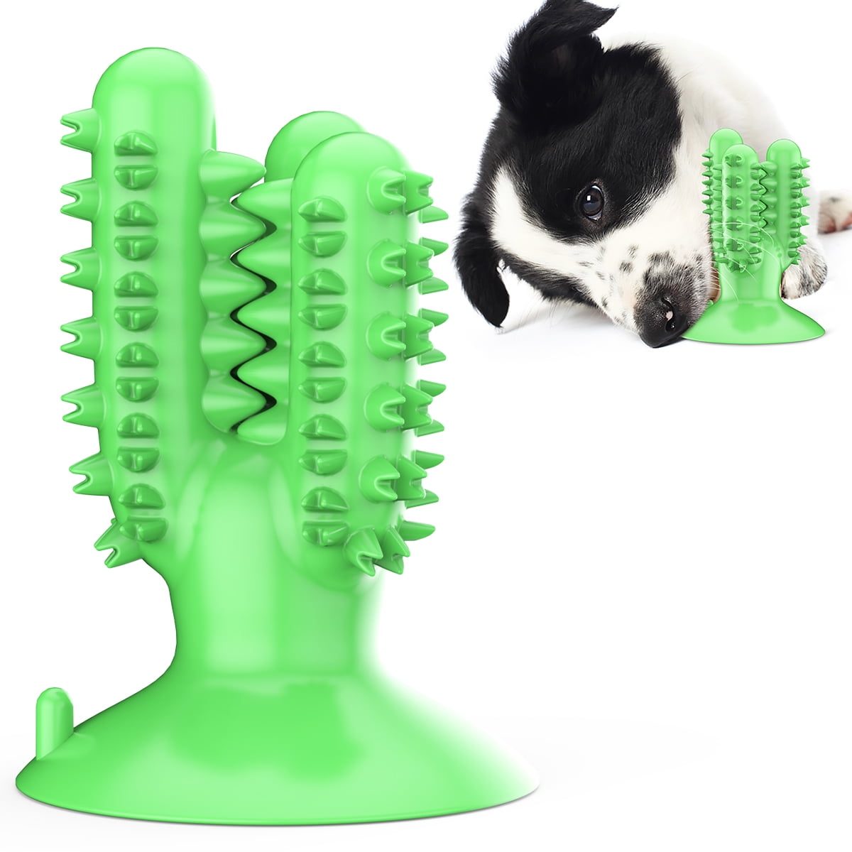 dog toothbrush chew toy