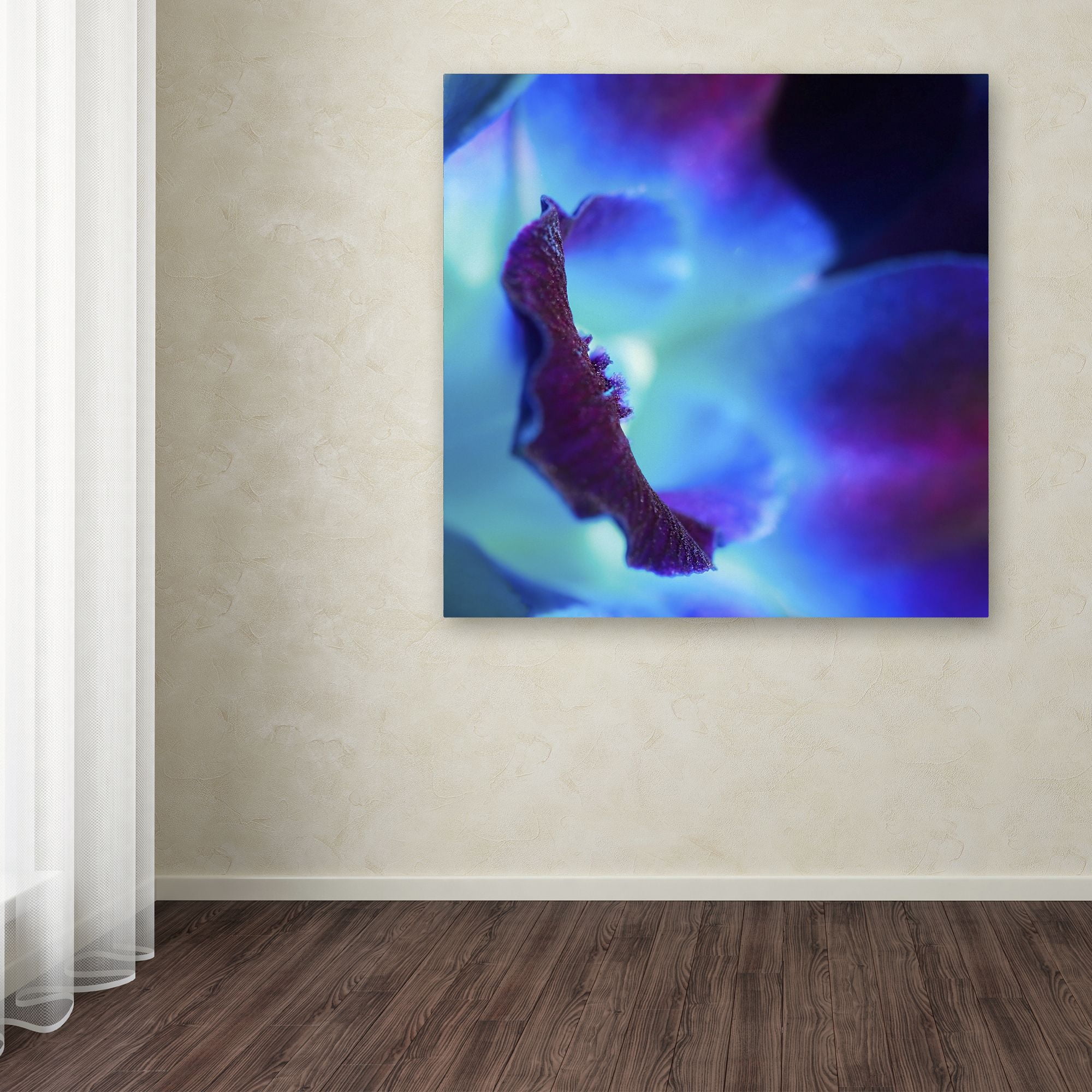Trademark Fine Art "Colours of Tomorrow" Canvas Art by Beata Czyzowska Young