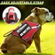 thumbnail image 4 of Set de arnés y correa para perros de servicio WINSEE Red (S), 4 of 6