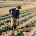 thumbnail image 4 of Weed Barrier Landscape Fabric, 23.6in x 393.7in Non-Woven Gardening Ground Cover, Heavy Duty Agriculture Mulch, Black Soil Control Mat for Farms, 4 of 8
