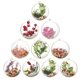 thumbnail image 2 of 5 piezas de 4/5/6/7/8 cm de plástico transparente abierto para decoración navideña, bola transparente, adorno para regalo, caja para decoración de fiestas, 2 of 5