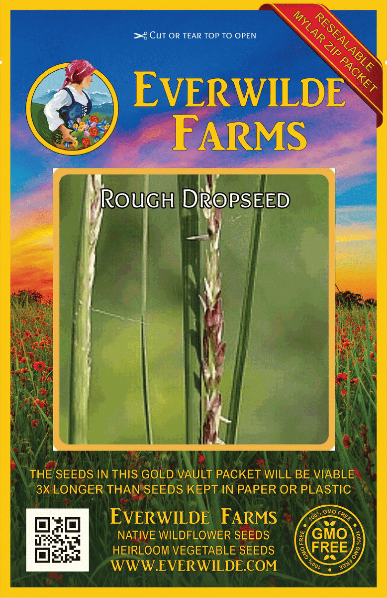 Everwilde Farms - 1 lb Rough Dropseed Native Grass Seeds - Gold Vault Bulk Seed Packet