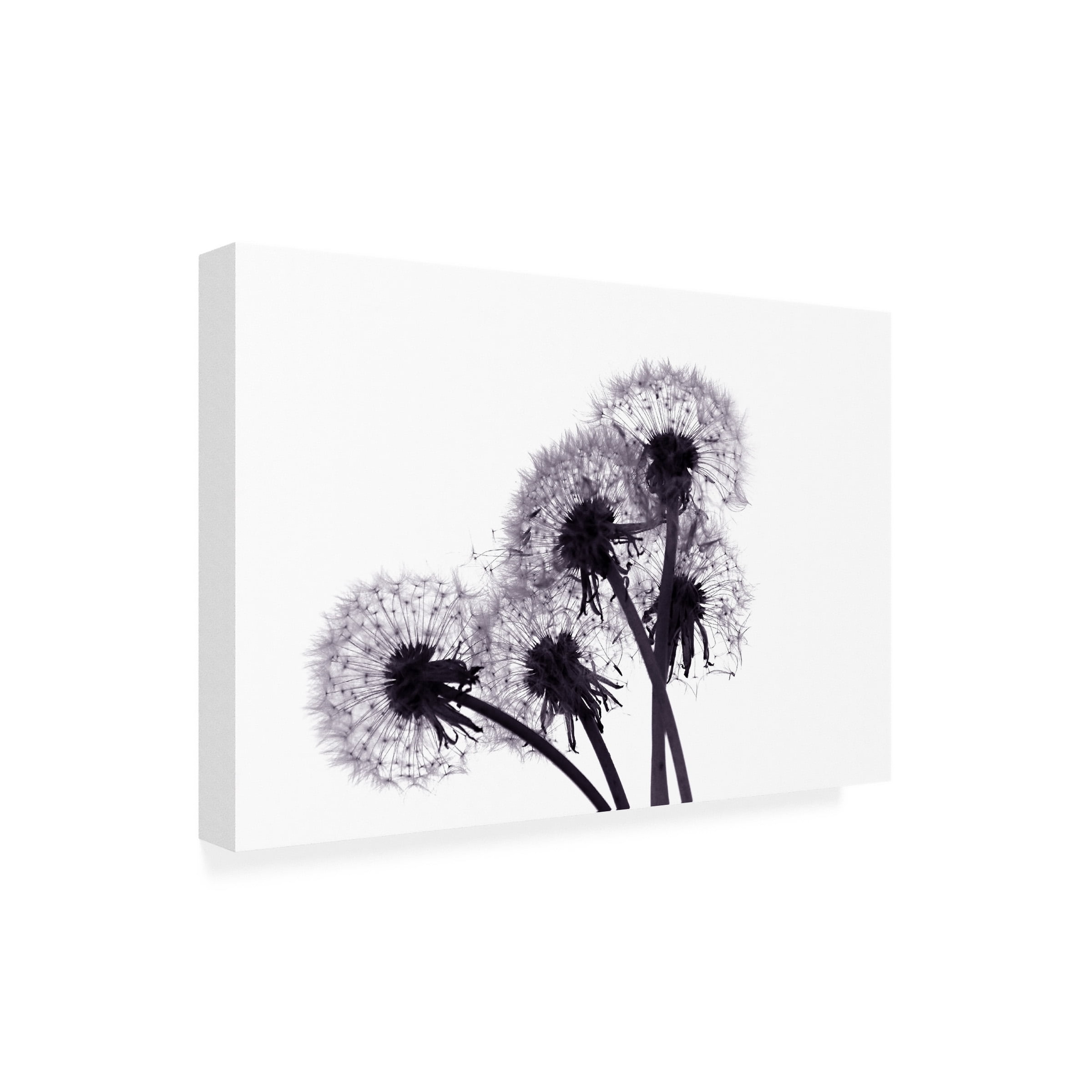 Beata Czyzowska Young 'Bunch of Wishes' Outdoor Canvas