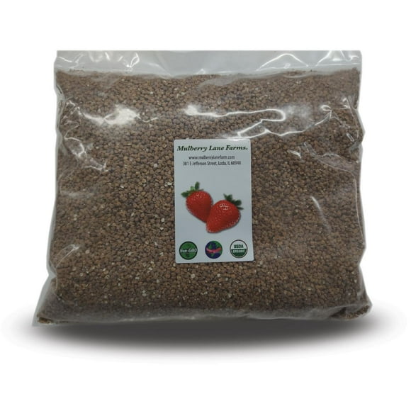 Himalayan Tartary Buckwheat