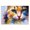 Manx Cat Gaze_v1, variant on Stupell Industries Tiger's Wild Wonder Animals & Insects Painting Gallery Wrapped Canvas Art Print Wall Art, 24 x 16