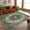 Green, variant on GlowSol 5' x 7' Vintage Floral Rug Non-Shedding Non Slip Carpet Distressed Floor Carpet for Dining Room Office, Brown