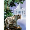thumbnail image 1 of Taladro diamante pintura (DE3061) 5D DIY completo tigre punto de cruz bordado mosaico Kit 50x70cm Hugtrwg Para estrenar, 1 of 1