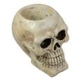 thumbnail image 4 of Northlight Skeleton Skull Halloween Decoration - 11" - Ivory and Black, 4 of 5
