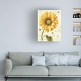 thumbnail image 2 of Trademark Fine Art "Under the Sun I" Canvas Art by Lisa Audit, 2 of 5