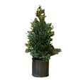 thumbnail image 1 of Flocking artificial Christmas tree, desktop cedar Christmas tree, indoor Christmas decorations, 1 of 5