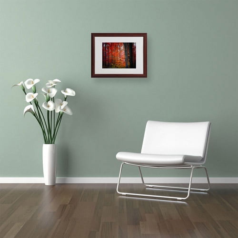 Trademark Fine Art "No Title" Canvas Art by Philippe Sainte-Laudy, Wood Frame