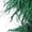Green, variant on Green Women'S Winter Flat Heel Boots High Top Warm Long Tube Furry Round Toe Mid Calf Casual Snow Boots