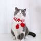 thumbnail image 2 of Mascota de lana de punto a rayas de Navidad bufanda del perro del gato del árbol de Navidad Senior babero ajustable, 2 of 4