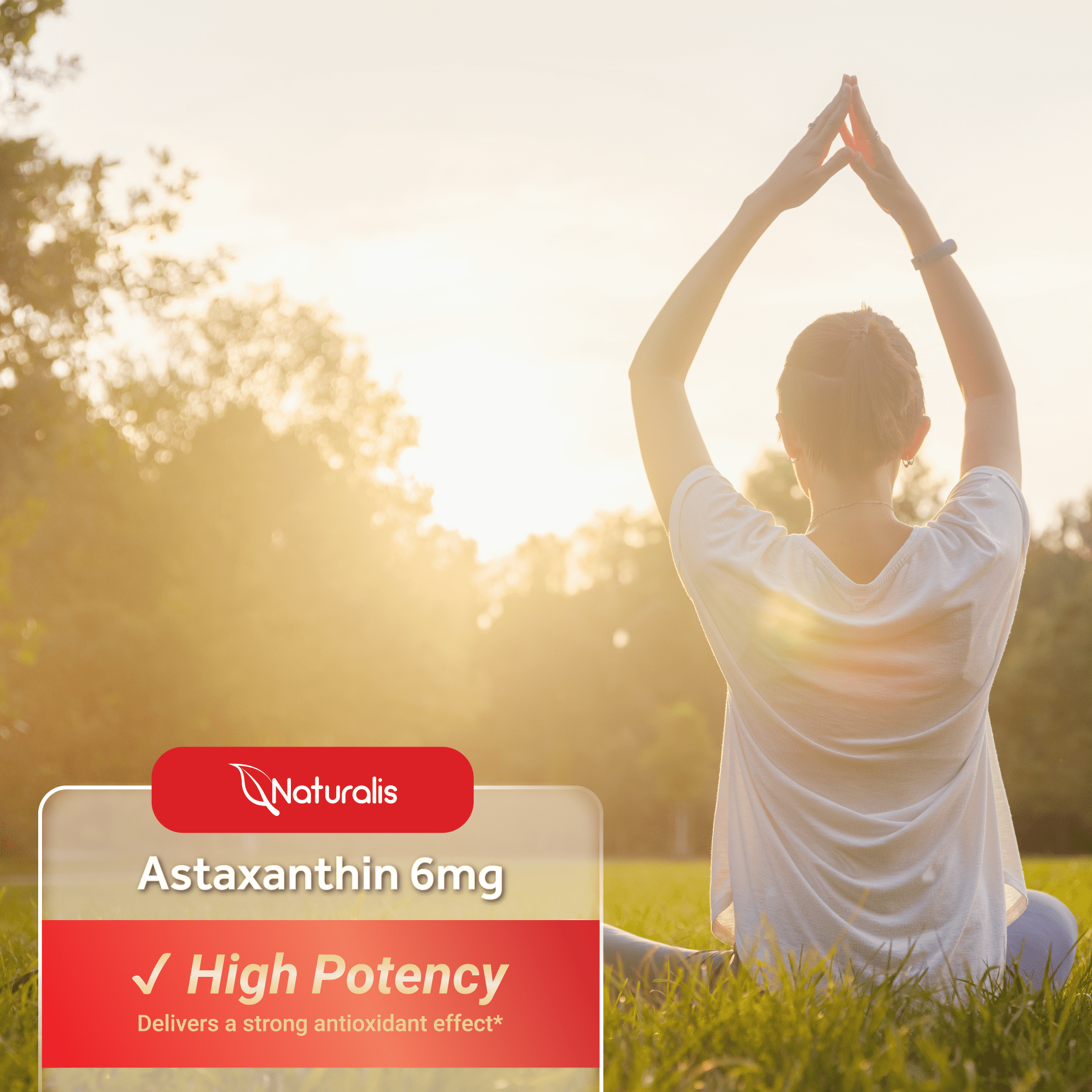 Naturalis New Zealand Astaxanthin (6mg) | High Potency with High-Oleic Sunflower Oil | Non-GMO, Soy & Gluten Free | 300 Softgels (10-Month Supply)
