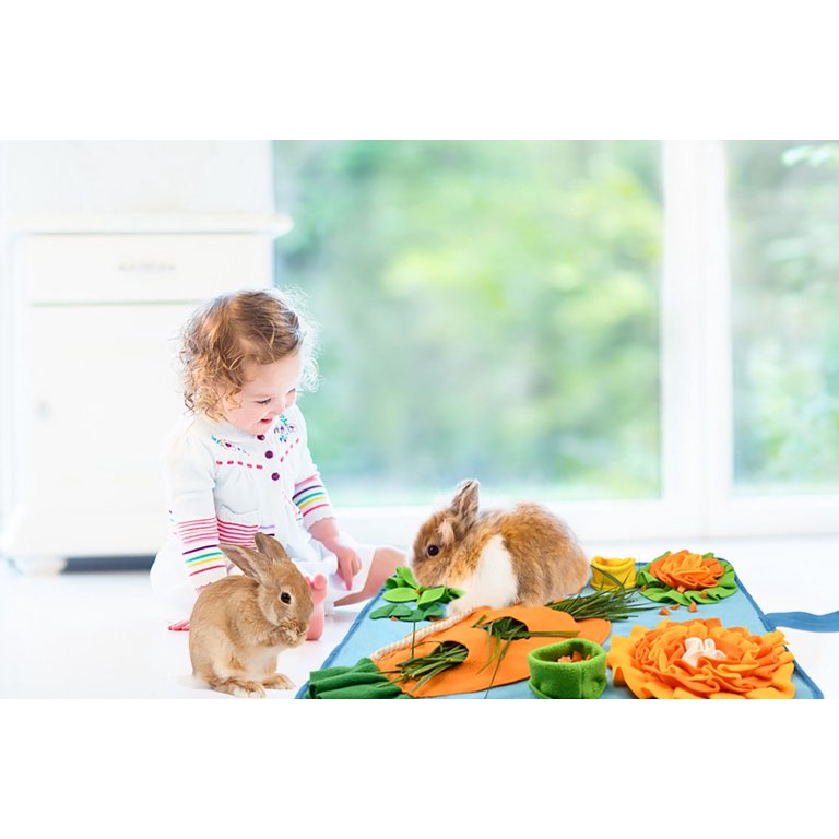 Small Pets, Rabbit Foraging Mat Small Pet Puzzle Toy Polar Fleece Pet  Snuffle Pad Bed