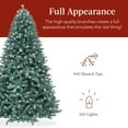 Best Choice Products 6ft PreLit Blue Spruce Christmas Tree w/ Foldable
