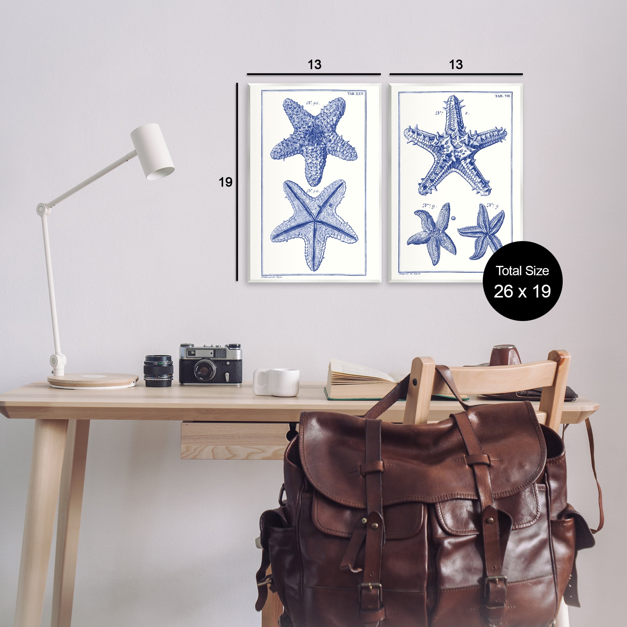 Stupell Industries Diagram of a Starfish Nautical & Beach Painting Unframed Art Print Wall Art, 13 x 19, Set of 2
